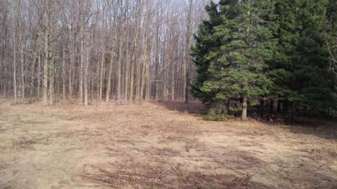 Spring 2014 - That-70s-House13.jpg