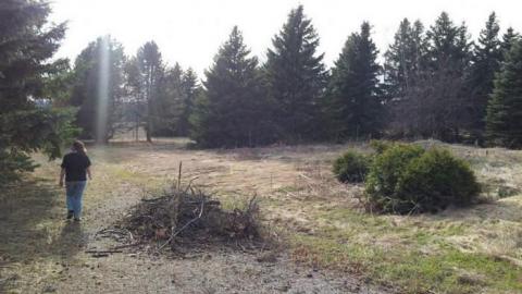 Photo from Spring 2014