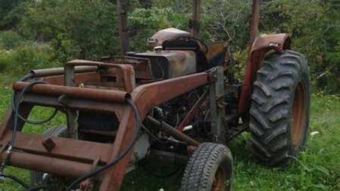 Burnt Beauty - 20140912_165116.jpg