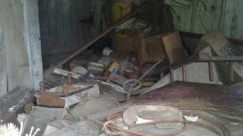 Burnt Beauty - 20140912_165350.jpg