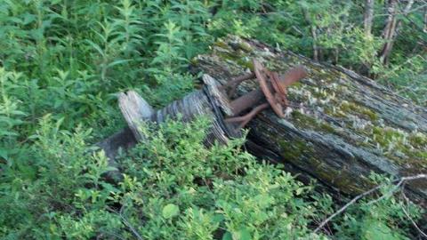 Milnet Ghost Town June 2013 - Milnet-Ghost-Town1.jpg