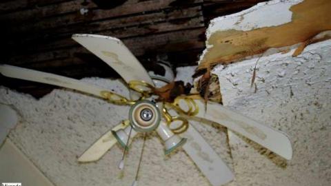 September 2014. just a few pic - Lambeth-Country-Home80.jpg