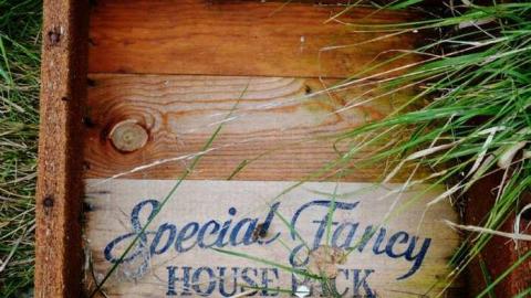 September 2014. just a few pic - Lambeth-Country-Home81.jpg