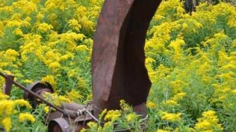 September 2014. just a few pic - Lambeth-Country-Home64.jpg