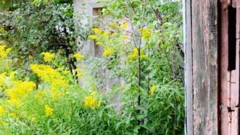 September 2014. just a few pic - Lambeth-Country-Home65.jpg