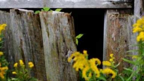 Photo from September 2014. just a few pic