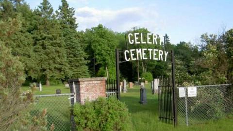 Gelert Alert - Gelert-(ghost-town)13.jpg