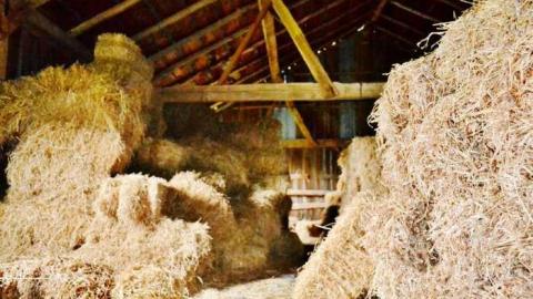 Photo from September 2014. just a few pic