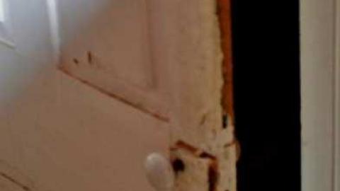 Photo from September 2014. just a few pic