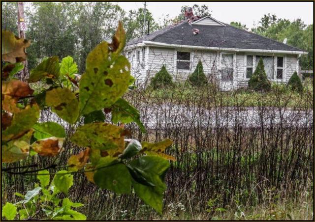 No Chance For Santa - No Chance For Santa 1.jpg