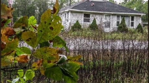 No Chance For Santa - No Chance For Santa 1.jpg