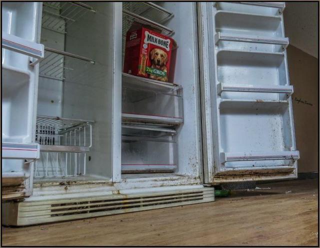 No Chance For Santa - No Chance For Santa 7.jpg