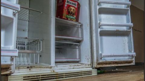 No Chance For Santa photo 2