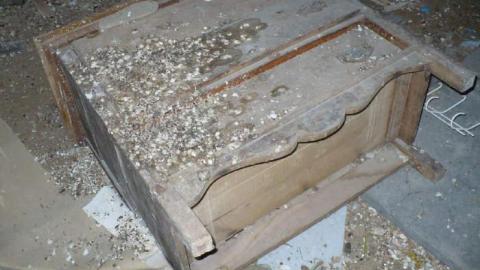 Mooove it. - P1170917.jpg