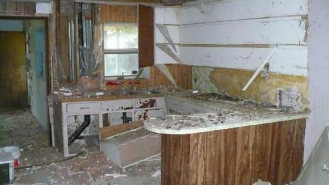 Mooove it. - P1170920.jpg