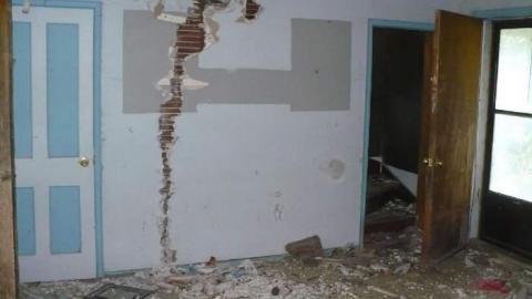 Mooove it. - P1170922.jpg