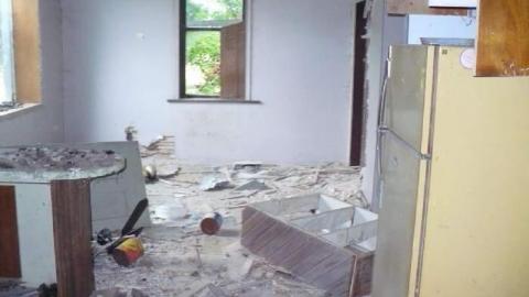 Mooove it. - P1170925.jpg