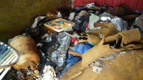 Love in a Cattlefield photo 5