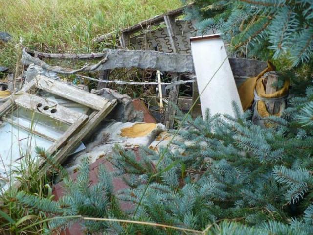 Love in a Cattlefield photo 2
