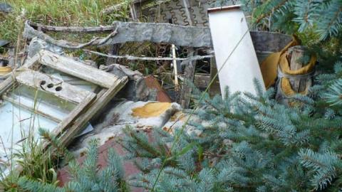 Love in a Cattlefield photo 2