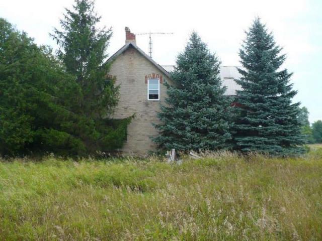 Love in a Cattlefield photo 4