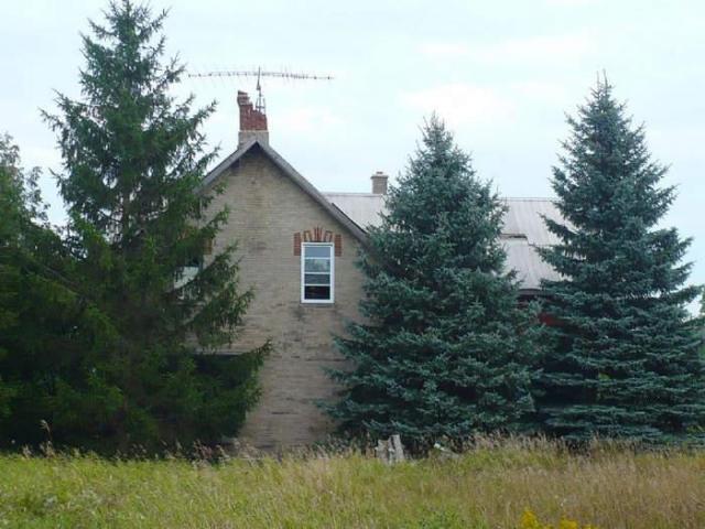 Love in a Cattlefield photo 3