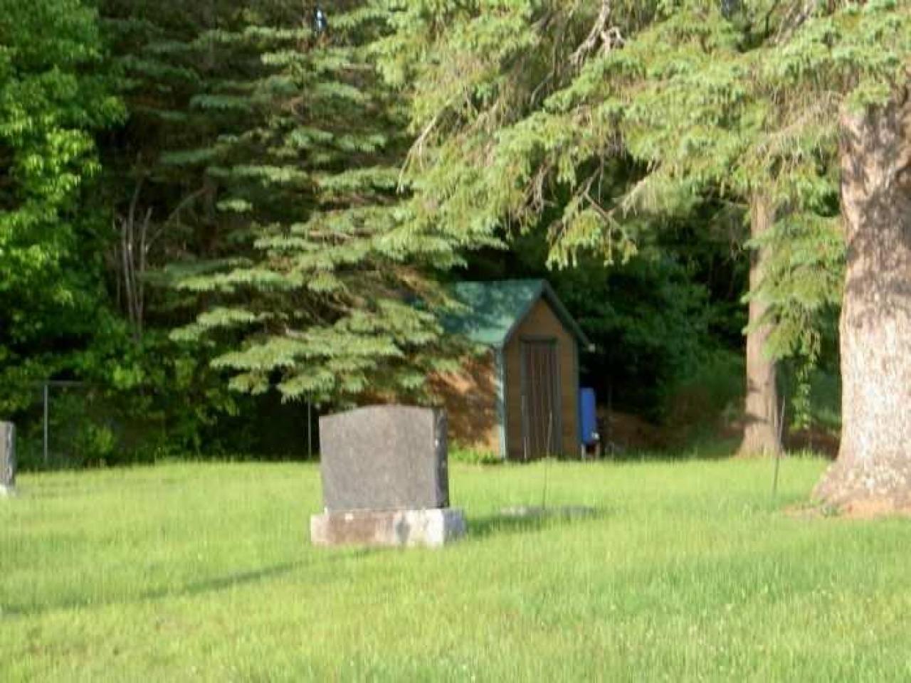 Gelert Alert - Gelert-(ghost-town)16.jpg