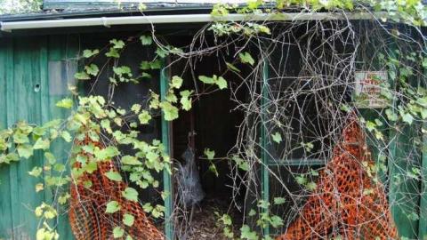 September 2014 - Television-Keene-TwoForOne81.jpg