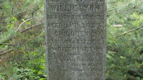 In Train Sight - Campbellville-Burying-Ground15.jpg