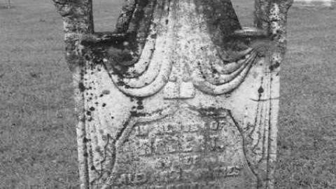 2nd Pioneers - Priceville-Pioneer-Cemetery31.jpg