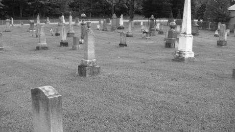 Photo from 2nd Pioneers