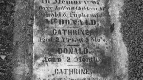 2nd Pioneers - Priceville-Pioneer-Cemetery28.jpg