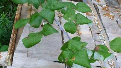 Dumpy Place - Kawartha-Downs-Speedway-House80.jpg