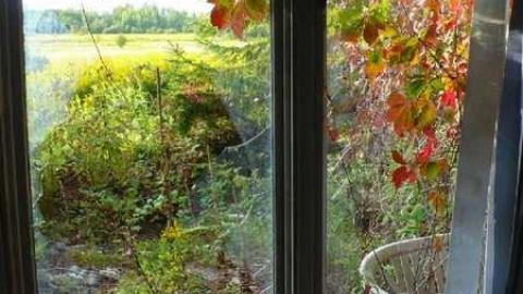 Dumpy Place - Kawartha-Downs-Speedway-House119.jpg