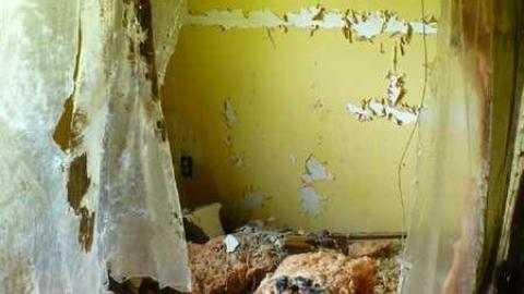 Photo from Dumpy Place