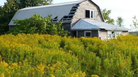 Dumpy Place - Kawartha-Downs-Speedway-House128.jpg