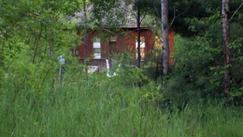 Gelert Alert - Gelert-(ghost-town)21.jpg