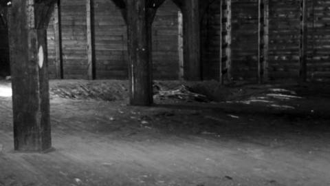 Cockshutt Building - Cockshutt-Building38.jpg