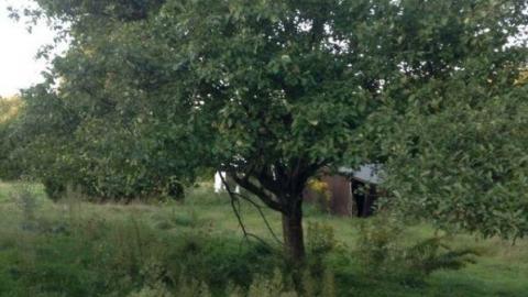 September 2014 - 407-Extension-Nash13.jpg