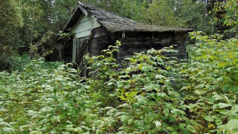 Pallisades Ahoy - Pallisades-Ahoy9.jpg