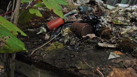 Pallisades Ahoy - Pallisades-Ahoy1.jpg