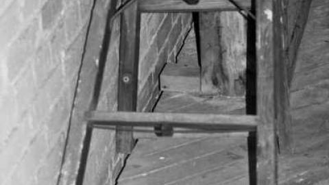 Cockshutt Building - Cockshutt-Building43.jpg