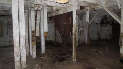 Dark and Dusty - Hortop-Mill20.jpg