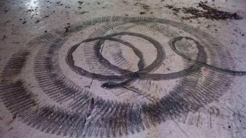 Sept '14 - Camp-Tillingwood44.jpg