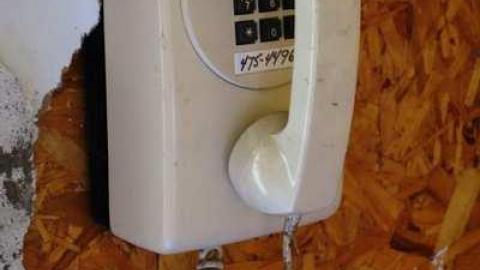 Sept '14 - Camp-Tillingwood53.jpg