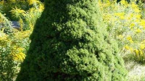 Sept '14 - Camp-Tillingwood56.jpg