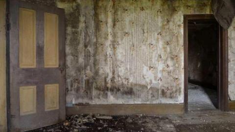 Photo from August 2014