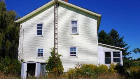 Toyless Sept '14 - DSC02086.jpg