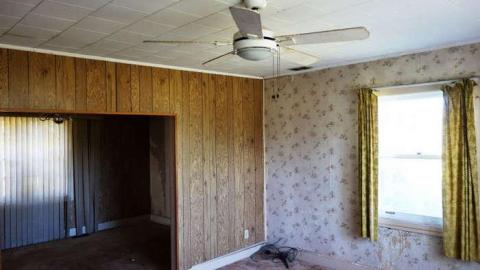 Toyless Sept '14 - DSC02094.jpg