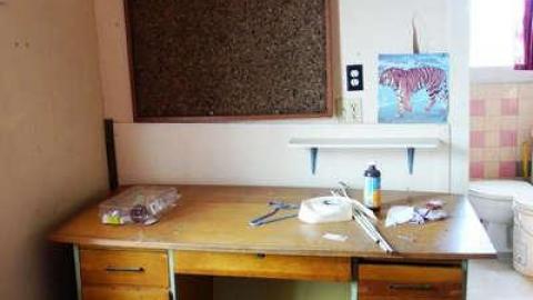 Toyless Sept '14 - DSC02095.jpg